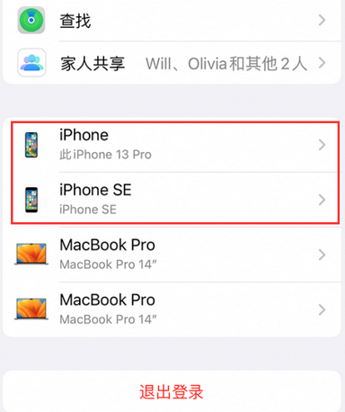 萨尔图苹萨尔图果维修网点分享iPhone如何查询序列号