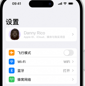 萨尔图appleID维修服务iPhone设置中Apple ID显示为灰色无法使用 