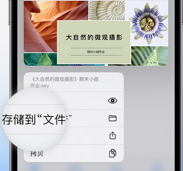 萨尔图apple维修中心分享iPhone文件应用中存储和找到下载文件