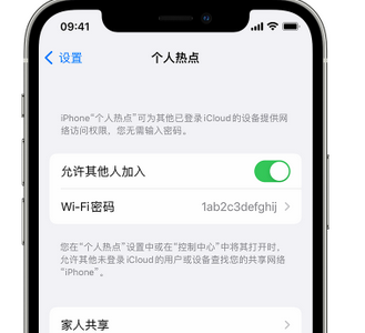 萨尔图apple服务站点分享iPhone上个人热点丢失了怎么办 