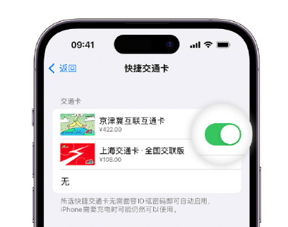 萨尔图apple维修点分享iPhone上更换Apple Pay快捷交通卡手绘卡面 