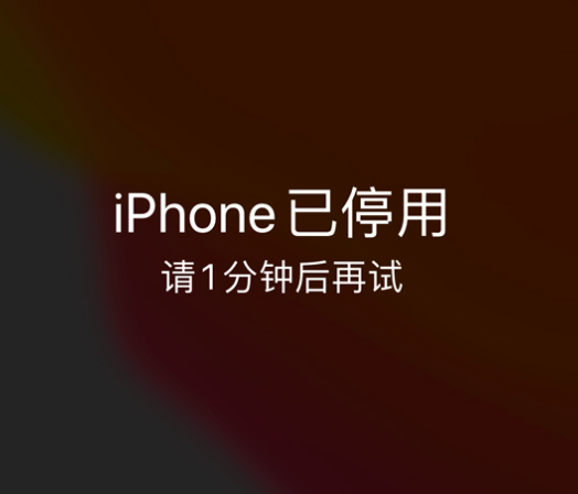 萨尔图苹果手机维修分享:iPhone 显示“不可用”或“已停用”怎么办？还能保留数据吗？ 