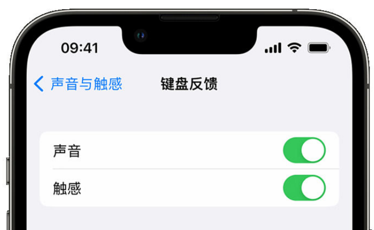 萨尔图苹果手机维修分享iPhone 14触感键盘使用方法 