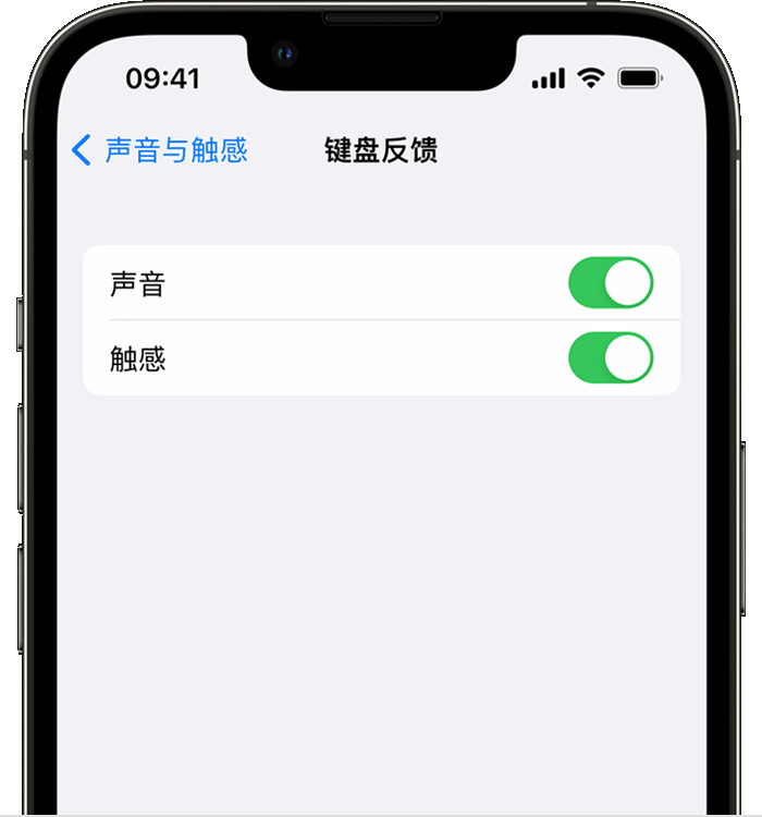 萨尔图苹果14维修店分享如何在 iPhone 14 机型中使用触感键盘 