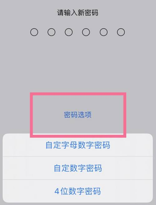 萨尔图苹果14维修分享iPhone 14plus设置密码的方法 