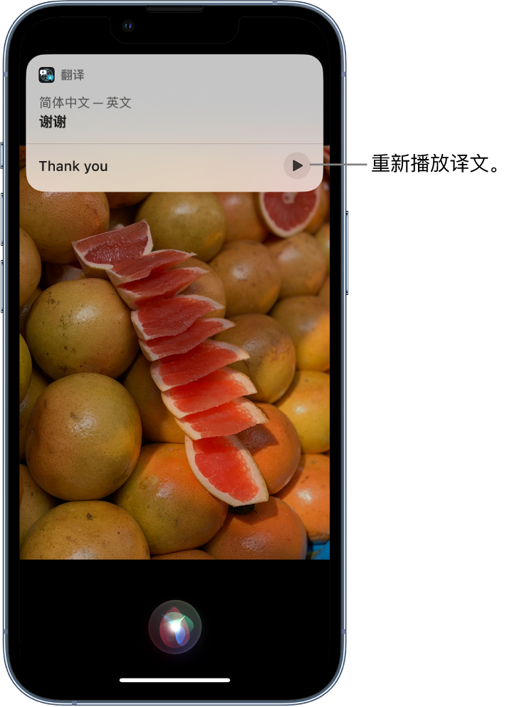 萨尔图苹果14维修分享 iPhone 14 机型中使用 Siri：了解 Siri 能帮你做什么 