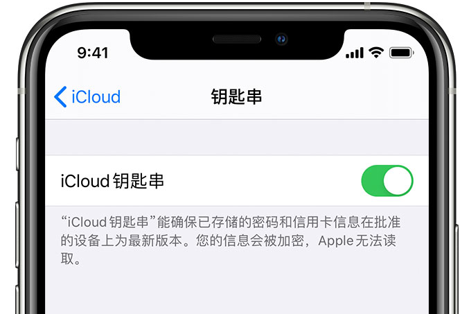 萨尔图苹果手机维修分享在 iPhone 上开启 iCloud 钥匙串之后会储存哪些信息 