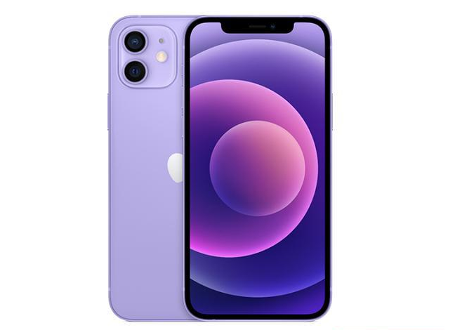 萨尔图苹果手机维修分享现阶段要不要入手紫色版iPhone12 
