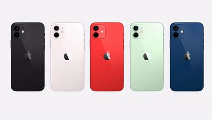 萨尔图苹果维修点分享iPhone 12黑屏隐蔽故障解读 