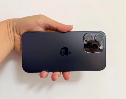 萨尔图苹果维修点分享iPhone 14 Pro Max发烫多重诱因剖析 
